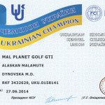 Чемпион Украины